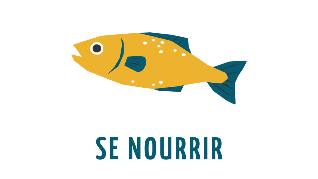 La Fresque des Possibles "Se nourrir" pour sensibiliser à la transition écologique